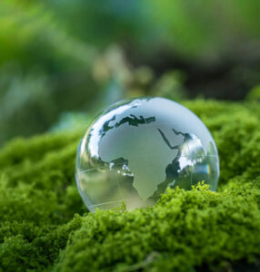 Sustainability